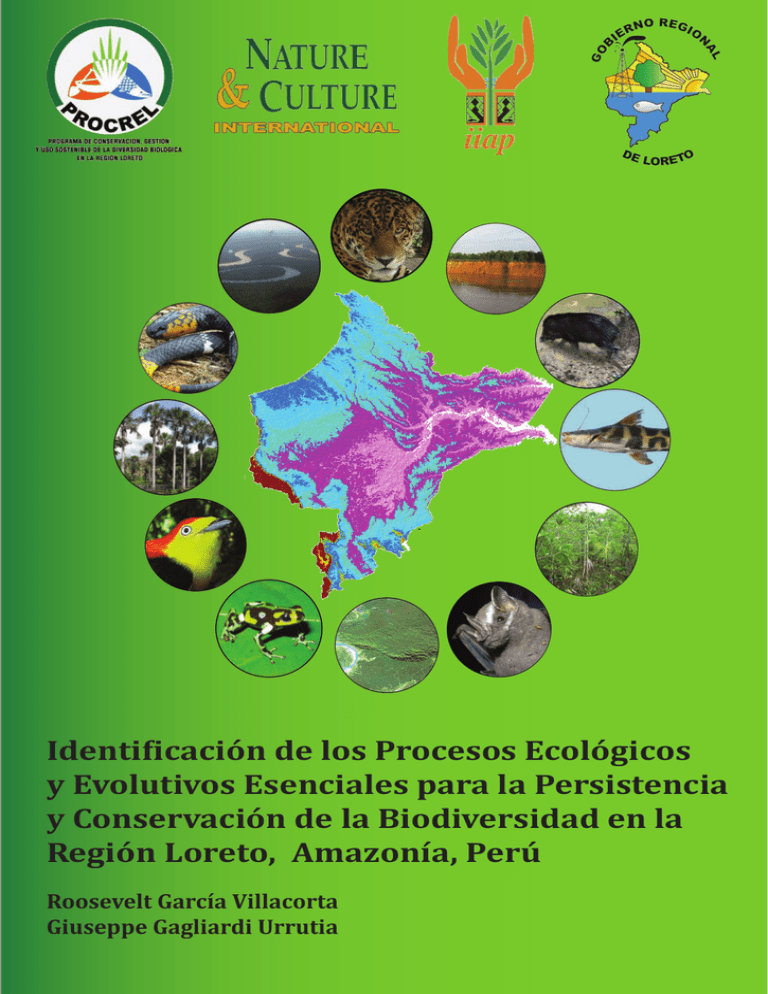 Identi Icaci N De Los Procesos Ecol Gicos Y Evolutivos Esenciales