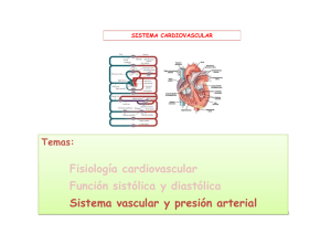 Fisiología cardiovascular Función sistólica y diastólica Sistema
