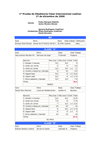 1ª Prueba de Obediencia Clase Internacional LealCan 17 de