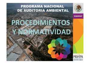 programa nacional de auditoria ambiental