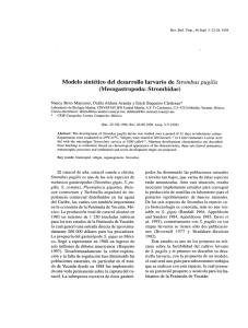 Modelo sintético del desarrollo larvario de Str0mbus pugilis