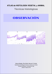 observación - Atlas de Histología Vegetal y Animal