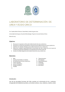 laboratorio de determinación de urea y ácido úrico