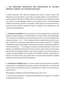 1.- LOS PRINCIPIOS PROCESALES MAS IMPORTANTES EN