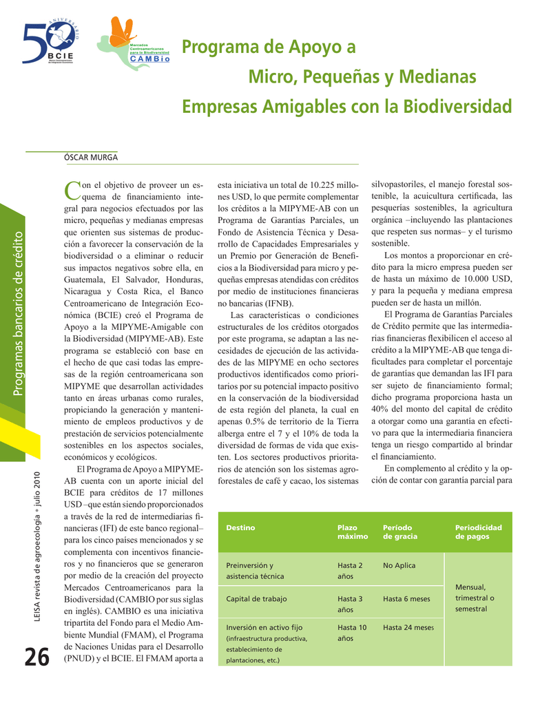 Programa De Apoyo A Micro Pequeñas Y Medianas Empresas 2117