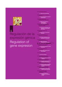 Regulación de la expresión génica Regulation of gene expresion