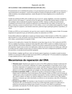 Mecanismos de reparación del DNA