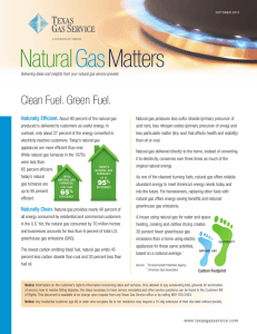 NaturalGasMatters - Texas Gas Service