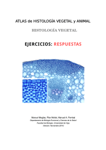 respuestas - Atlas de Histología Vegetal y Animal