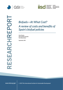 A review of costs and benefits of Spain`s biofuel policies