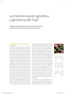 La transformación genética y genómica del frijol