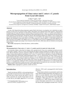 Micropropagation of Ulmus minor and U. minor x U. pumila