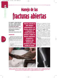 Manejo de las fracturas abiertas