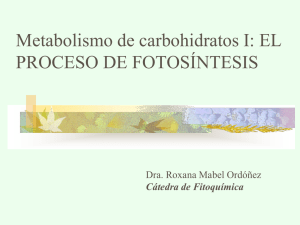 Metabolismo de carbohidratos I: EL PROCESO DE FOTOSÍNTESIS