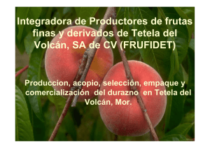 Integradora de Productores de frutas finas y derivados de Tetela del