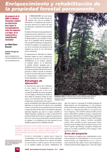 Enriquecimiento y rehabilitación de la propiedad forestal