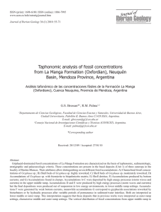 Taphonomic analysis of fossil concentrations from La Manga