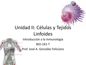 Unidad II: Células y Tejidos Linfoides