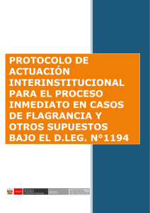 protocolo de actuación interinstitucional para el
