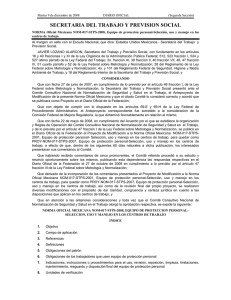 NOM-017-STPS-2008 - Secretaría del Trabajo y Previsión Social