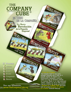 The Company Cube - Flyer - RFormy