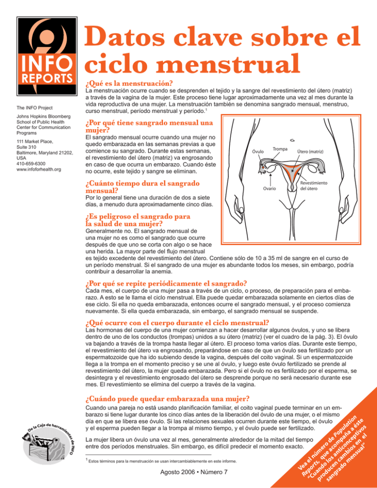 Datos Clave Sobre El Ciclo Menstrual