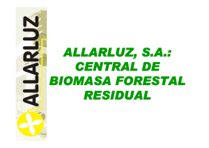 ALLARLUZ, S.A.: CENTRAL DE BIOMASA FORESTAL RESIDUAL