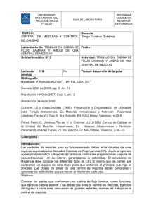 C.M. Cabina Flujo 1 (Formato PDF)