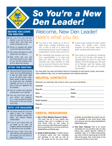 So You`re a New Den Leader!