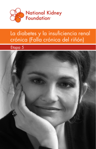 La diabetes y la insuficiencia renal crónica (Falla crónica del riñón)