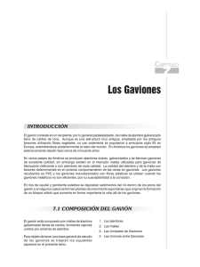 Capítulo 7. Los Gaviones