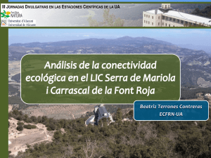 Análisis de la conectividad ecológica en el LIC Serra de Mariola i