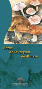 Setas de la Región de Murcia