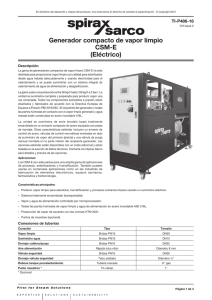 Generador compacto de vapor limpio CSM-E (Eléctrico)