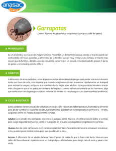 Garrapatas - Anasac Control