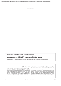 Las mutaciones BRCA-1/2 expresan distintos genes