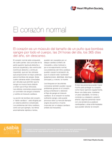 El corazón normal - Heart Rhythm Society