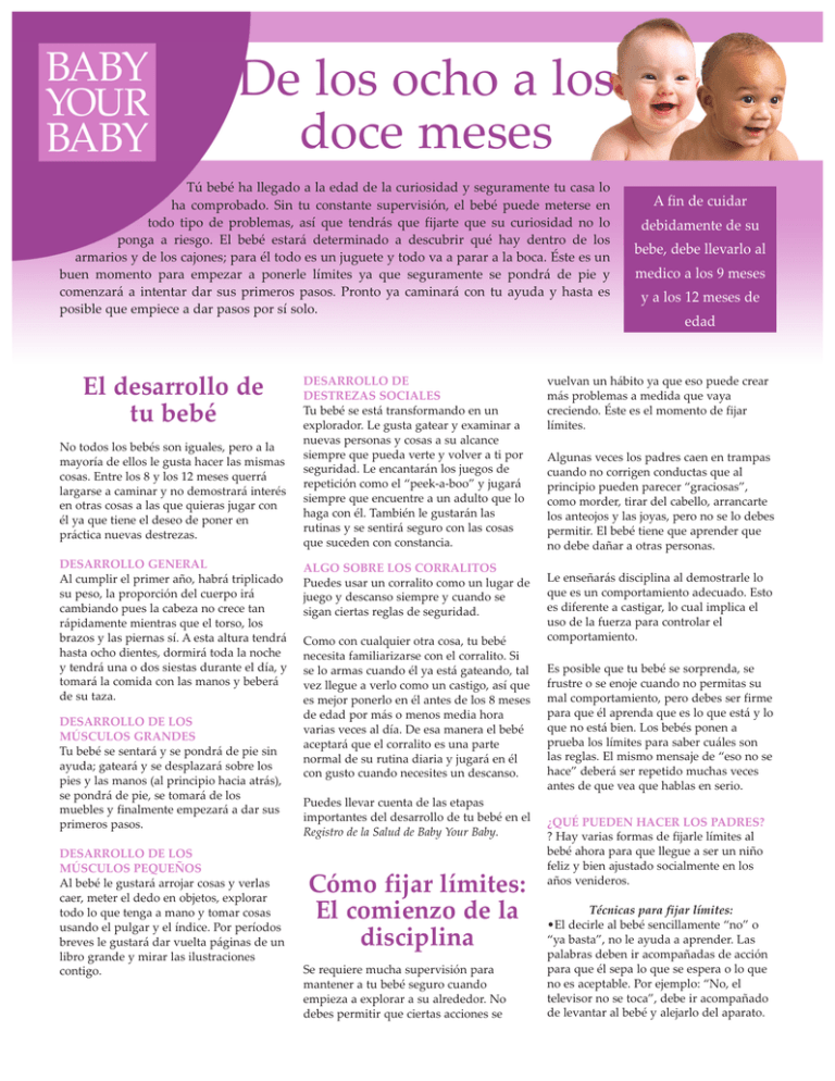 De los 8 a los 12 meses