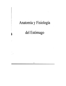 Anatomía y Fisiología