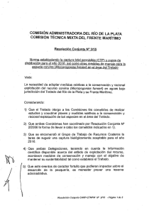 " com¡s¡ón TECNICA MIXTA DEL FRENTE MARÍTIMO