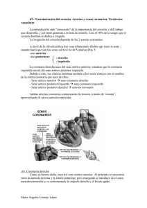 Vascularización del corazón. Arterias y venas coronarias. Territorios