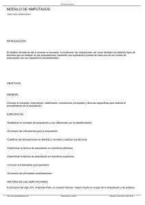 Descargar pdf: capítulo de amputados