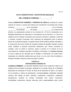 Acta Constitutiva (Nuevo Consejo Comunal)