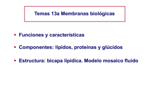 Tema 13a – membranas farmacia
