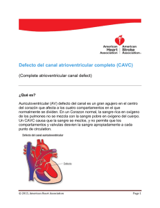 Defecto del canal atrioventricular completo (CAVC)