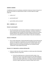 SEMANA A SEMANA A medida que transcurre tu embarazo