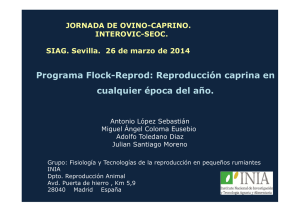 Programa Flock-Reprod: Reproducción caprina en cualquier época