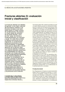 Fracturas abiertas (I): evaluación inicial y clasificación