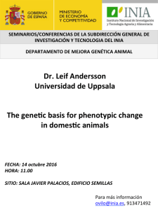 Dr. Leif Andersson Universidad de Uppsala The gene c basis