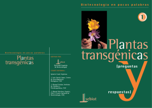 Plantas Transgénicas - Instituto de Biología Molecular y Celular de